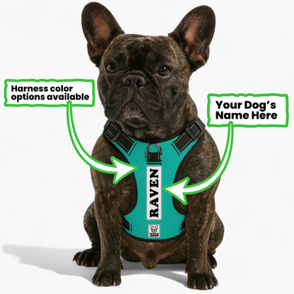 Raven - Personalized No-Pull French Bulldog Dog Harness