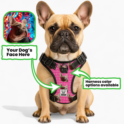 Quincy - Personalized No-Pull French Bulldog Dog Harness
