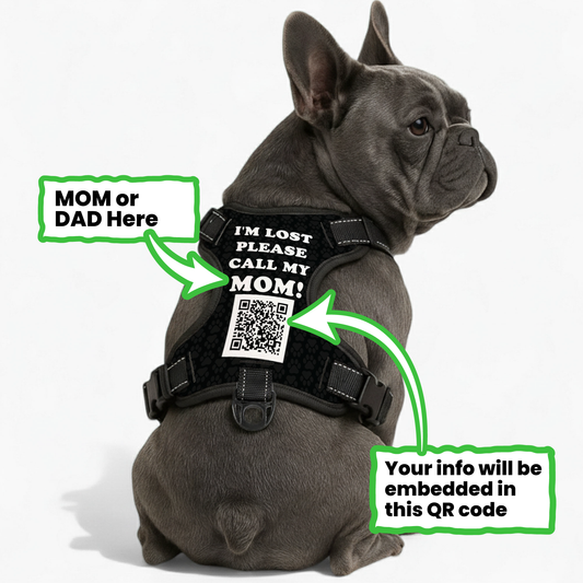 Gus - Personalized No-Pull French Bulldog Dog Harness