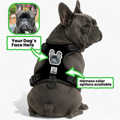 Esther - Personalized No-Pull French Bulldog Dog Harness