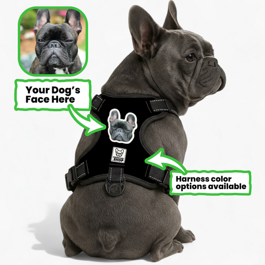 Esther - Personalized No-Pull French Bulldog Dog Harness