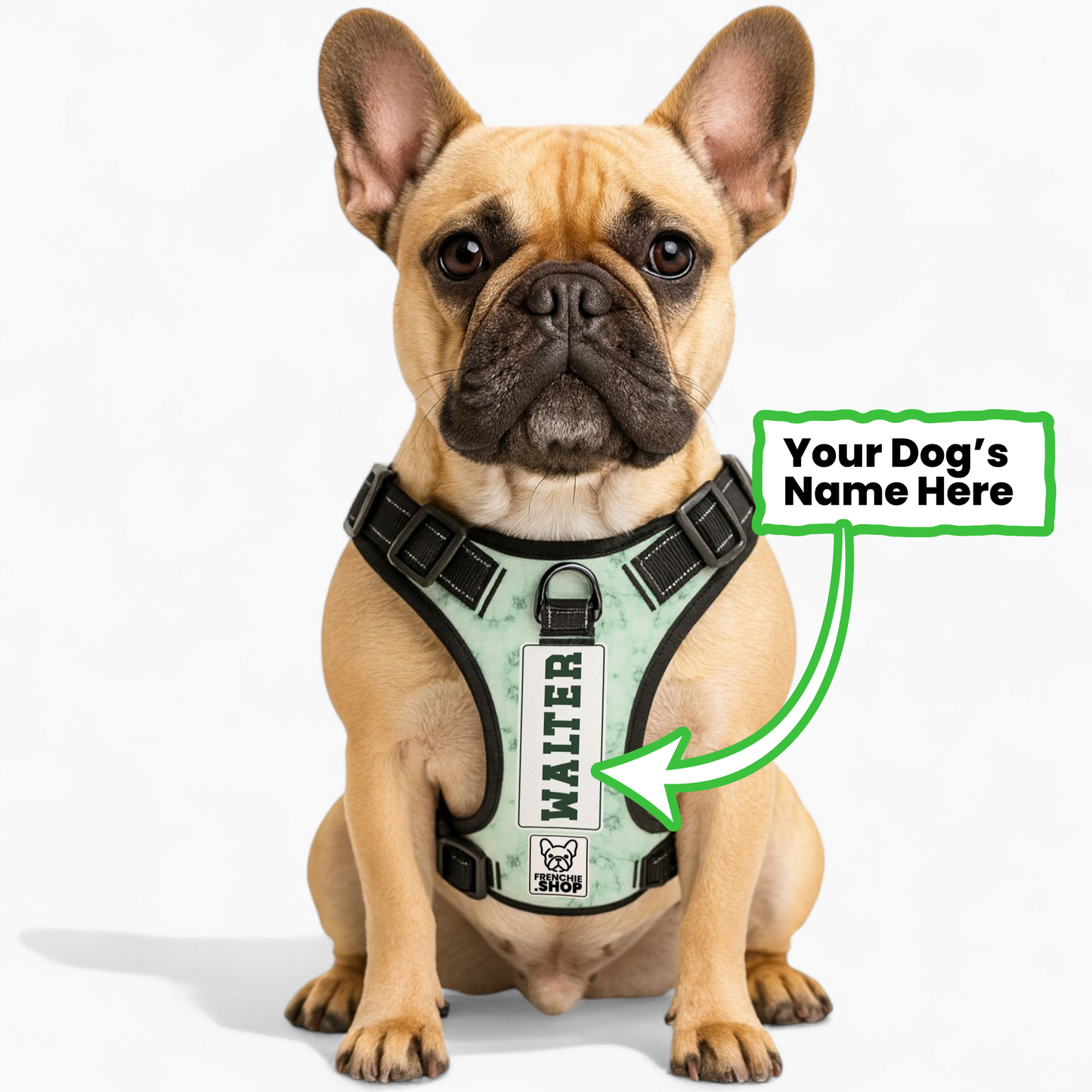 Willow - Personalized No-Pull French Bulldog Dog Harness