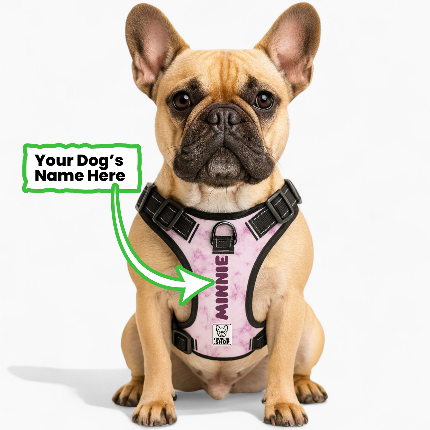 Herbie - Personalized No-Pull French Bulldog Dog Harness