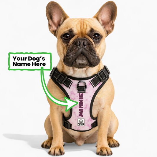Herbie - Personalized No-Pull French Bulldog Dog Harness