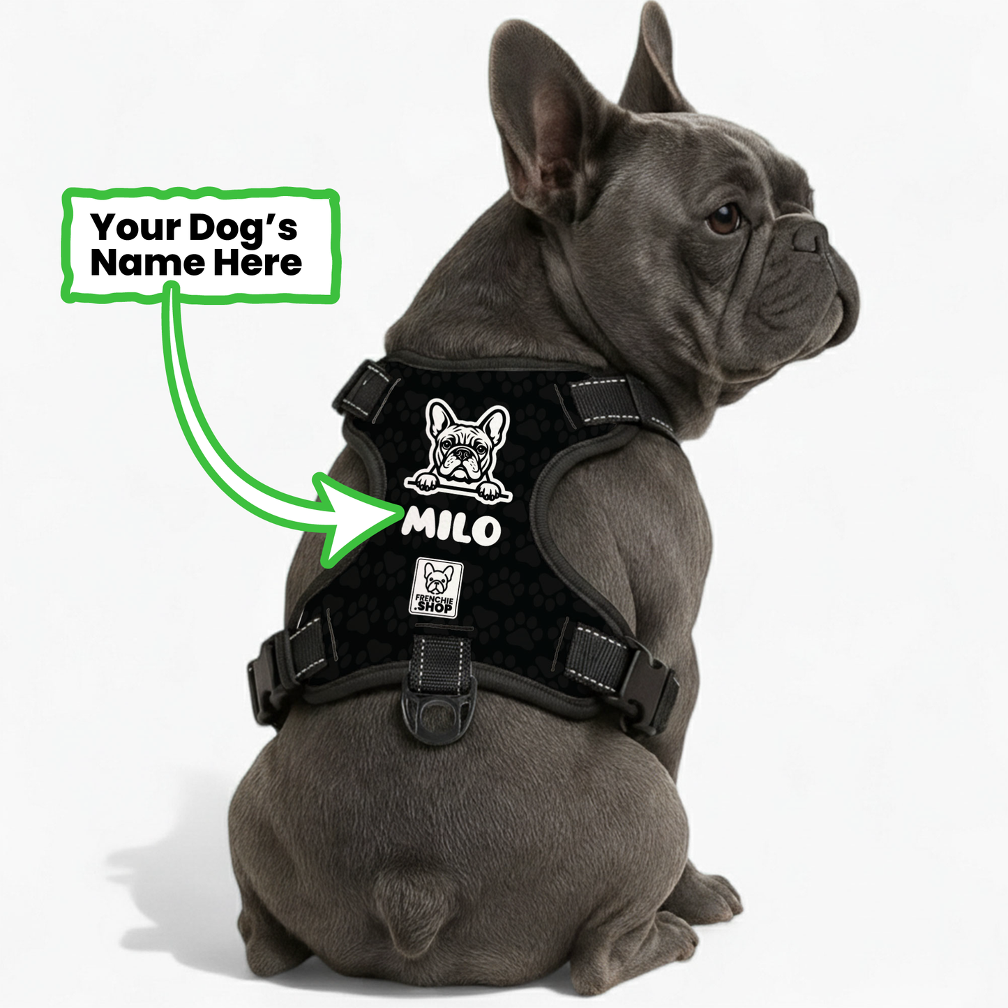 Winston - Personalized No-Pull French Bulldog Dog Harness