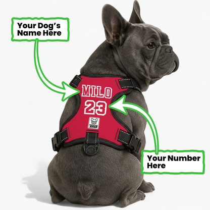 Magnolia - Personalized No-Pull French Bulldog Dog Harness