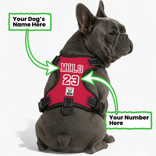 Magnolia - Personalized No-Pull French Bulldog Dog Harness
