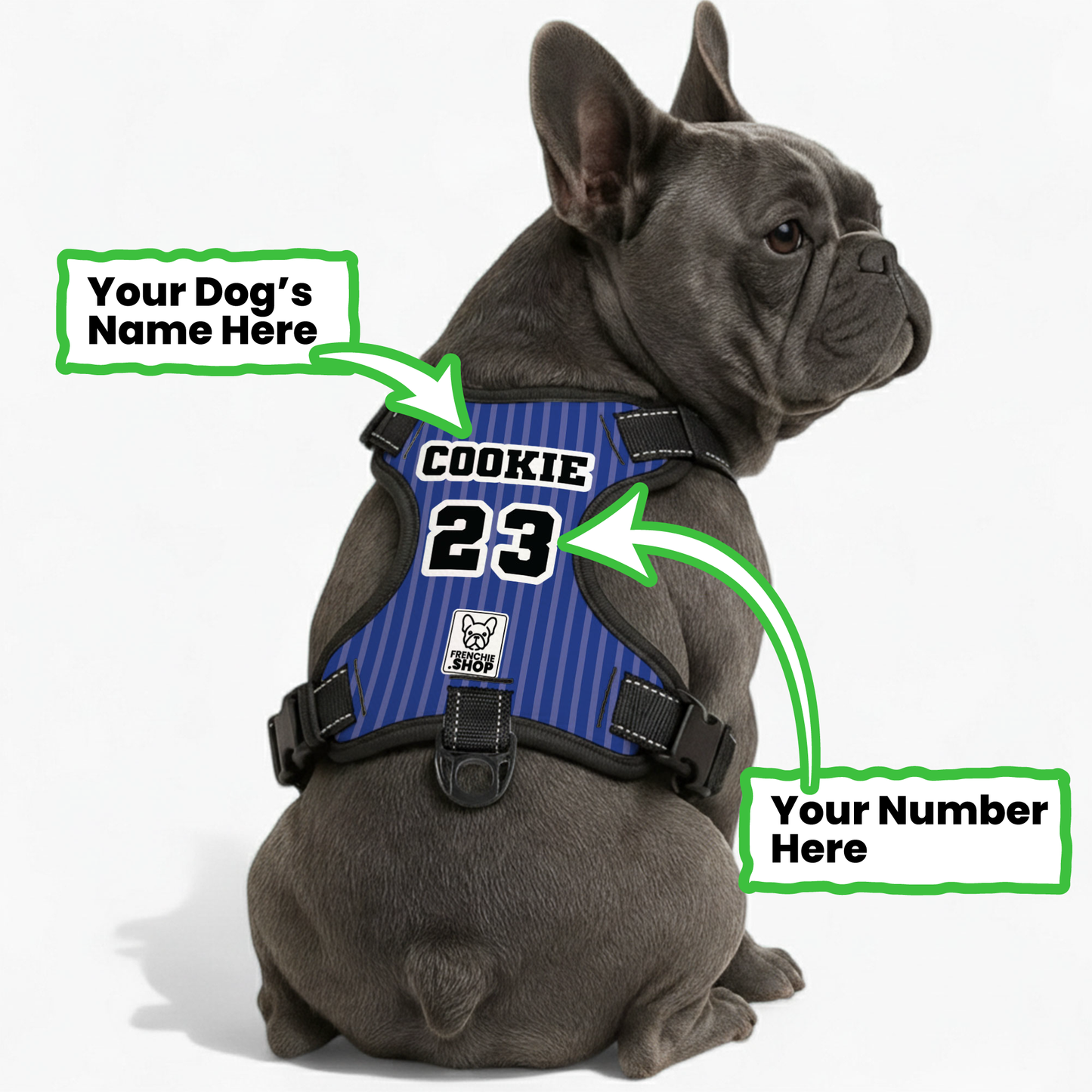 Duchess - Personalized No-Pull French Bulldog Dog Harness