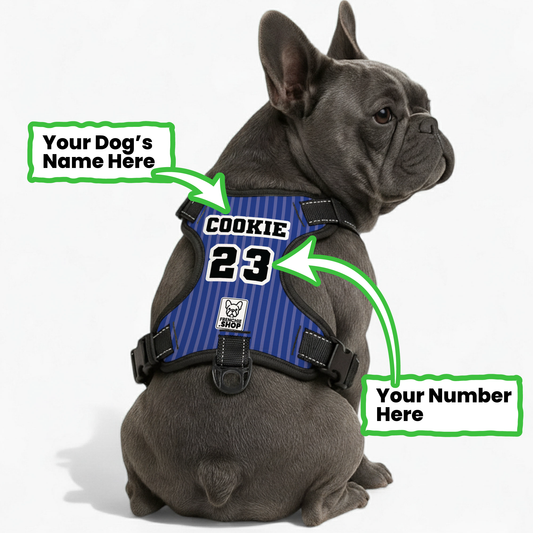 Duchess - Personalized No-Pull French Bulldog Dog Harness