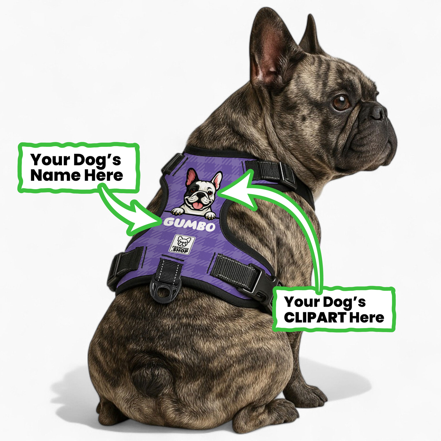Jaq - Personalized No-Pull French Bulldog Dog Harness