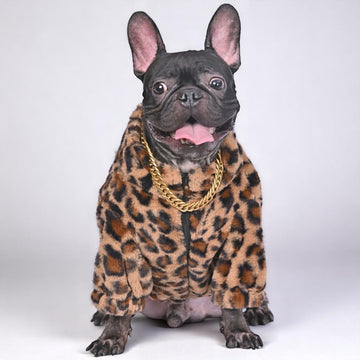 Dognest™ Frenchie Winter Sweater (WL010)