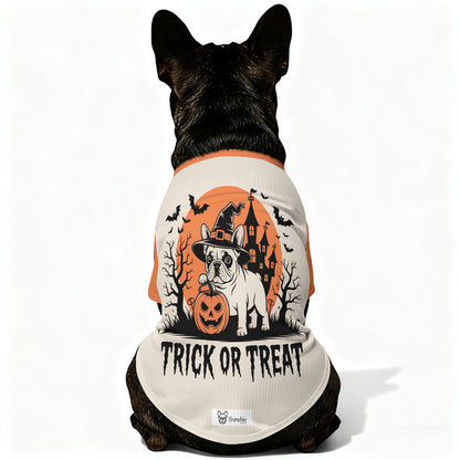 Laura - Wool Sweater for Frenchies