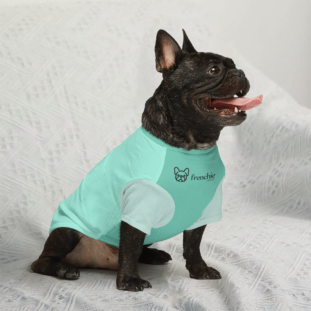 Asher - Wool Sweater for Frenchies