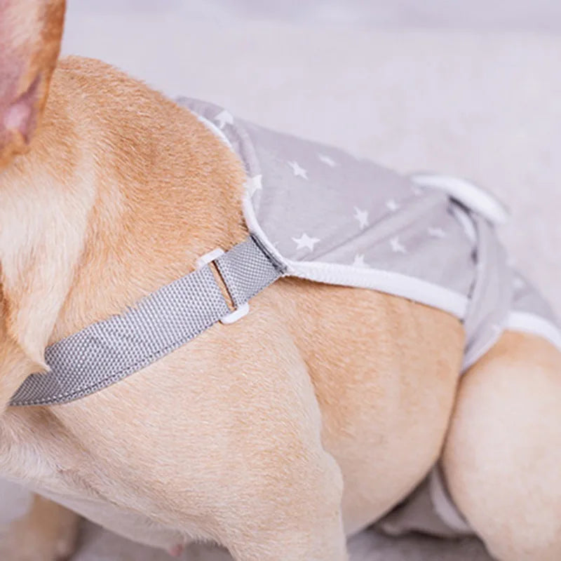diaper for french bulldog
