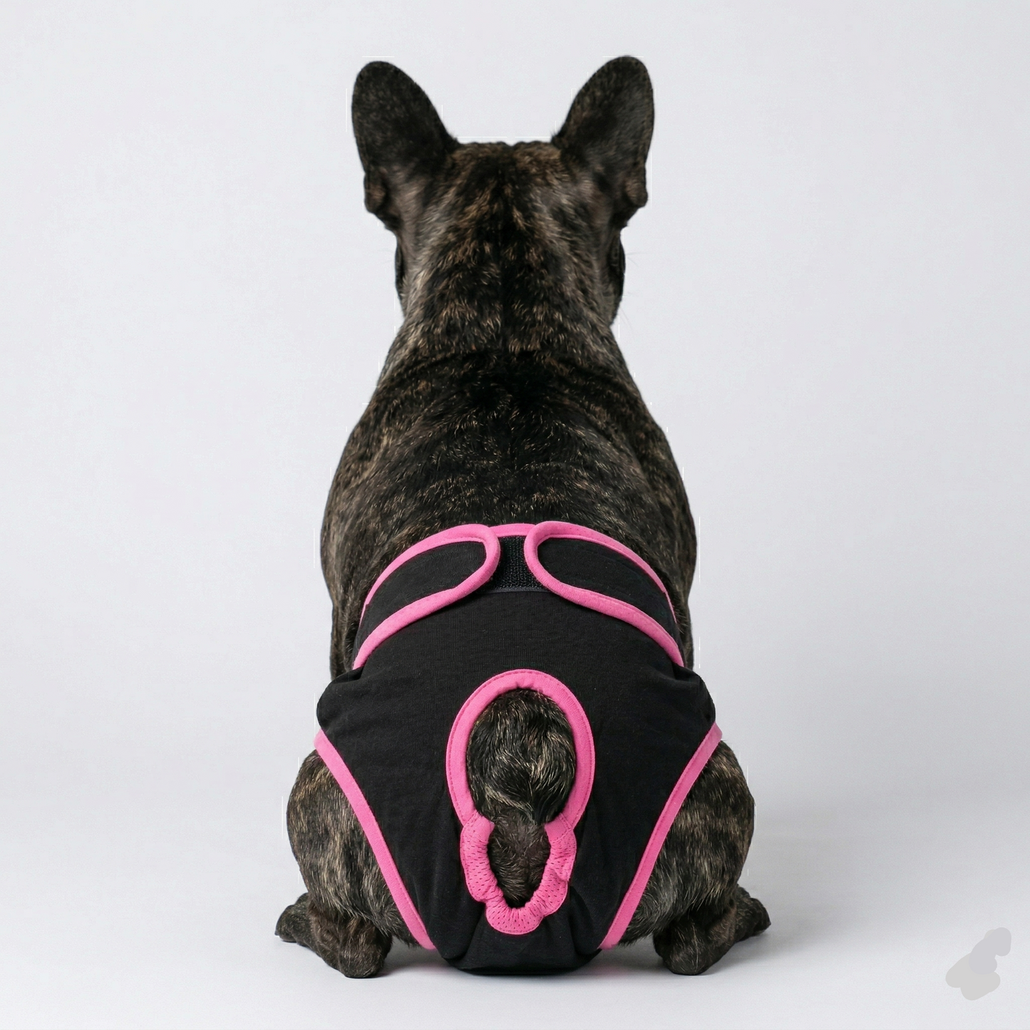 Adjustable French Bulldog Shorts Diaper