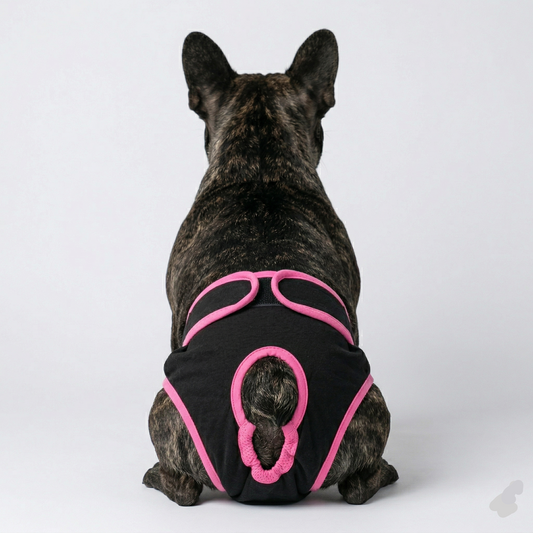 Adjustable French Bulldog Shorts Diaper