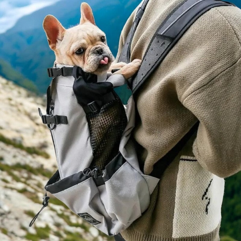 french bulldog jansport backpack FrenPort Portable Bag Airline-Approved Pet at school Silver French Bulldog Backpack -