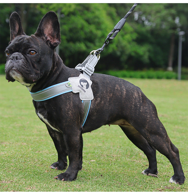 dog harness for french bulldogs