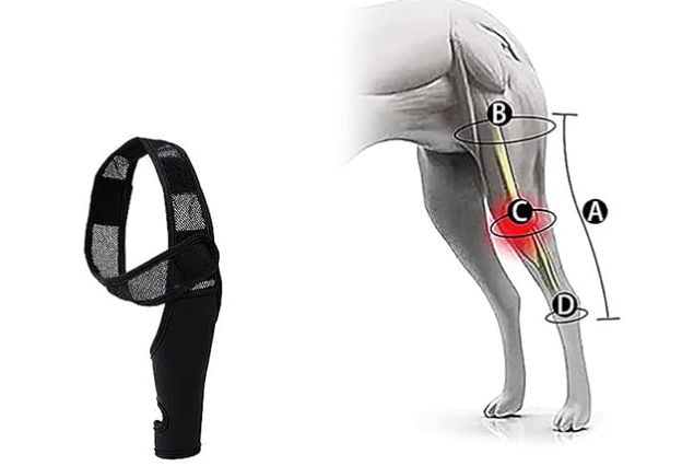dog knee pads