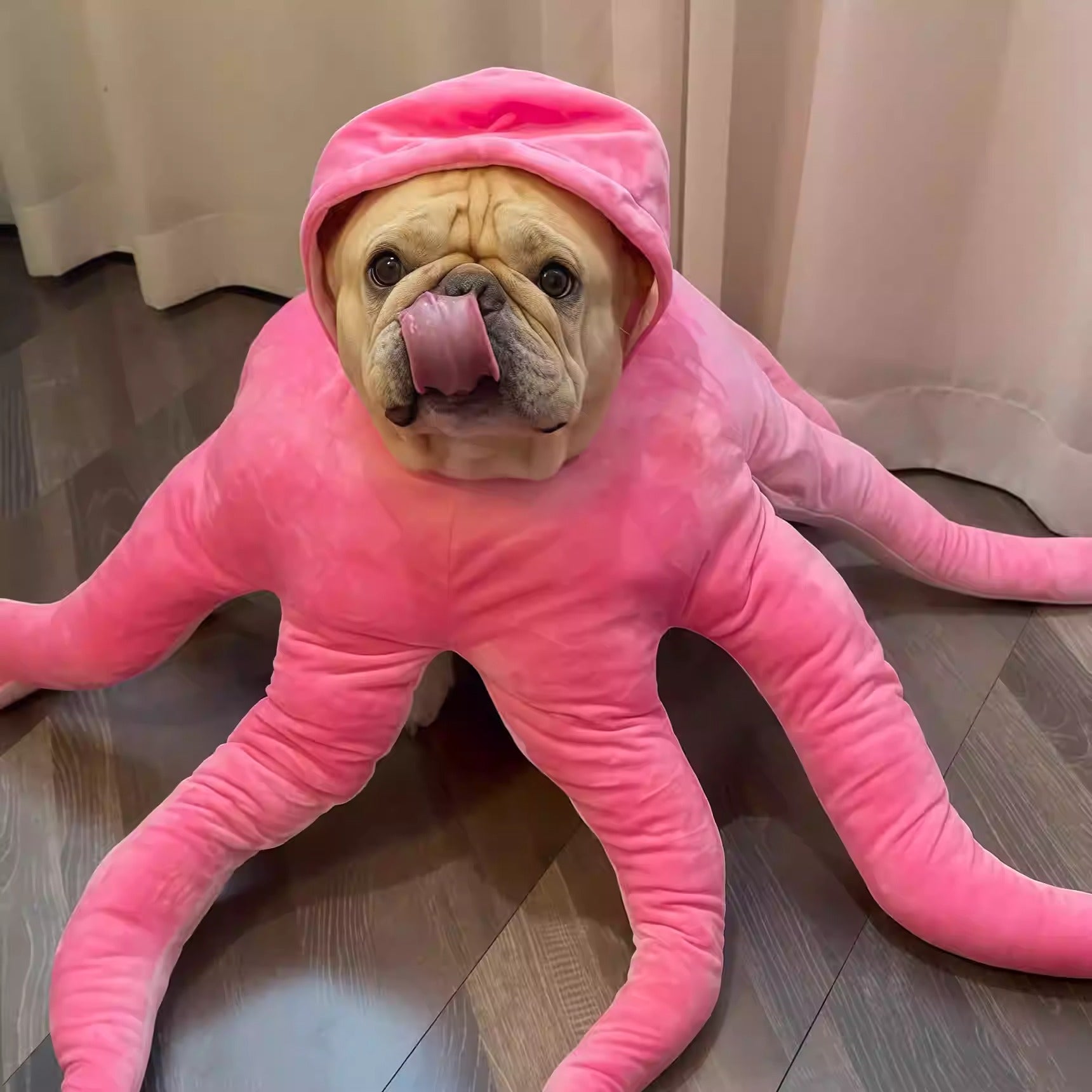 dog octopus costume