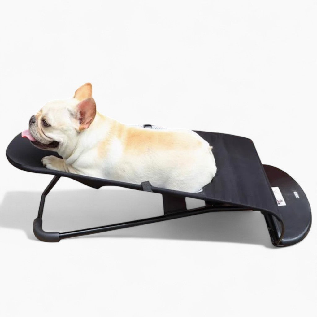 French Bulldog Rocking Chairfor Indoor & Outdoor Comfort