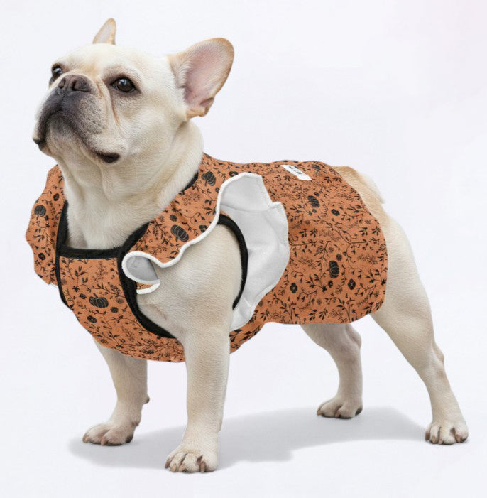 Halloween- French Bulldog Dresses for Females