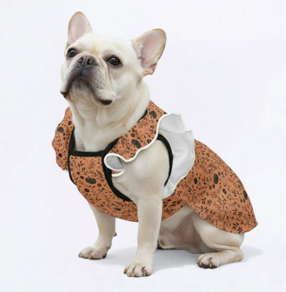 Halloween- French Bulldog Dresses for Females