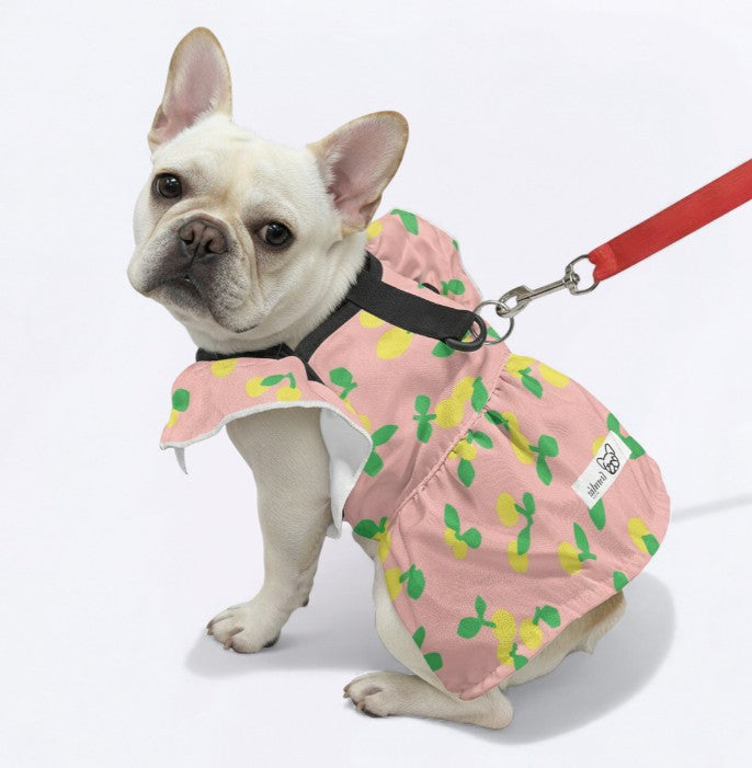 Kaia - French Bulldog Dresses for Females