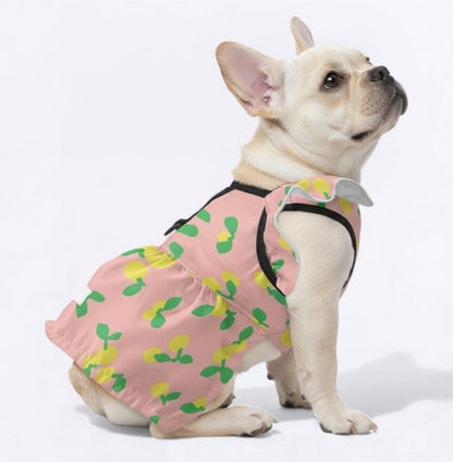 Kaia - French Bulldog Dresses for Females
