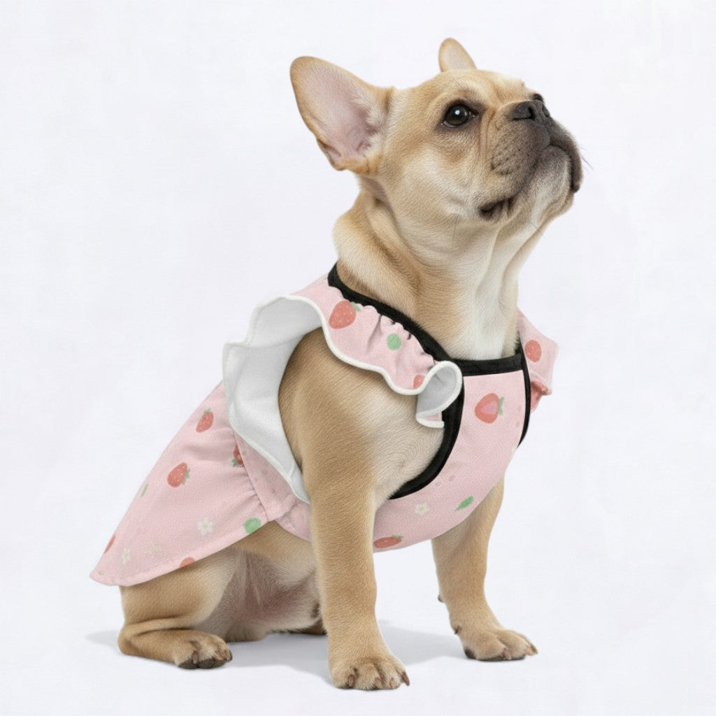 MIla -  Adorable Dress for Frenchie Girls