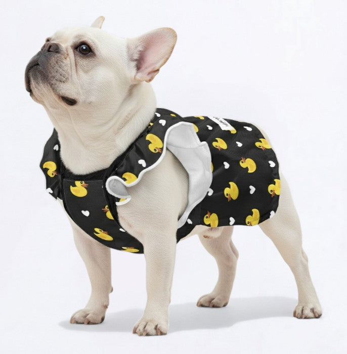 Honey- French Bulldog Dresses for Females