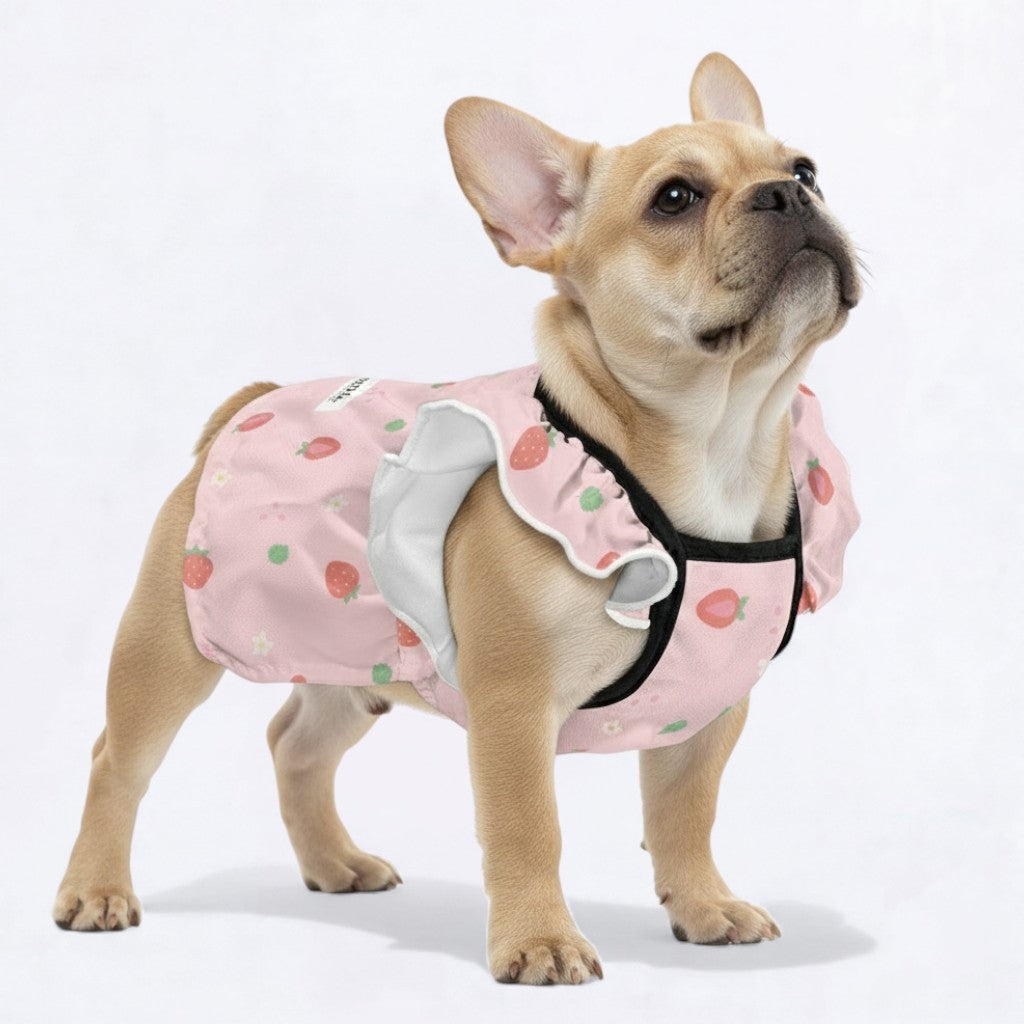 MIla -  Adorable Dress for Frenchie Girls