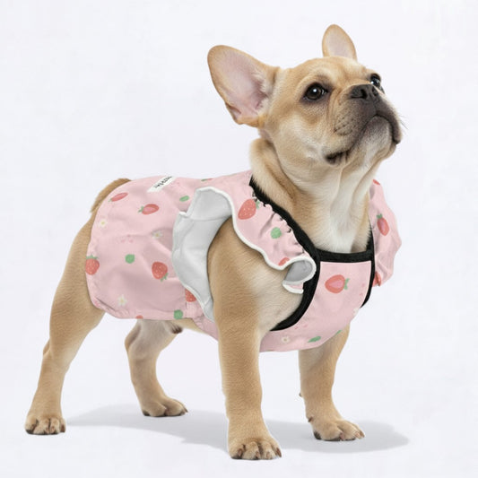 MIla -  Adorable Dress for Frenchie Girls