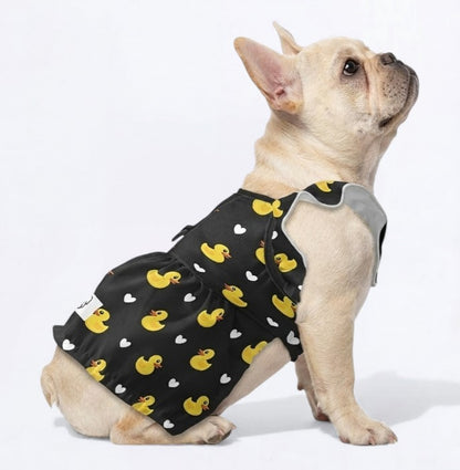 Honey- French Bulldog Dresses for Females