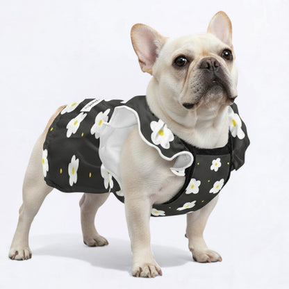 Zara -  Adorable Dress for Frenchie Girls
