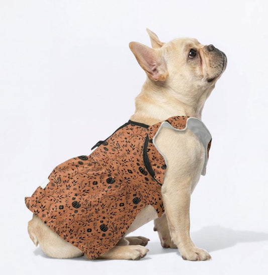 Halloween- French Bulldog Dresses for Females