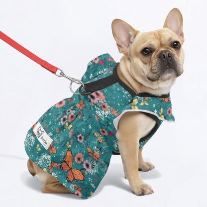 Cleo - French Bulldog Dresses for Females