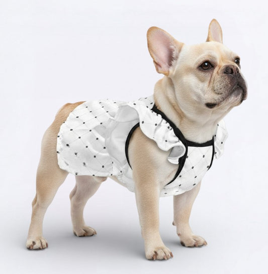 Biscuit - French Bulldog Dresses for Females
