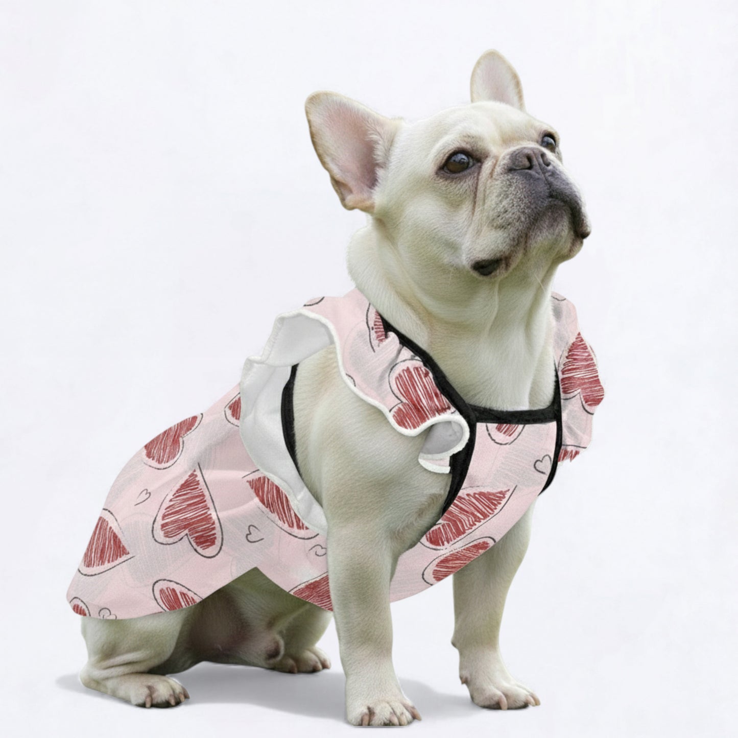 Lola - French Bulldog Dresses for Females