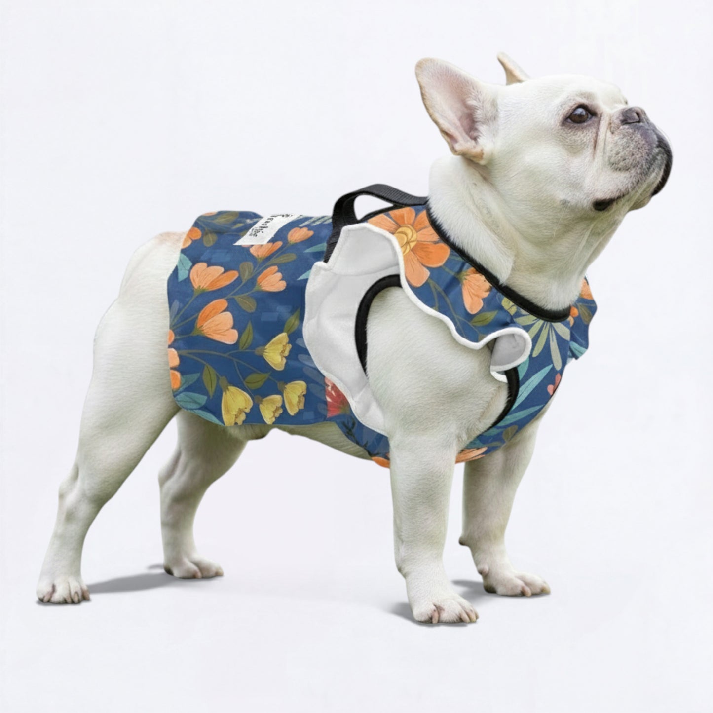 Bailey - French Bulldog Dresses for Females