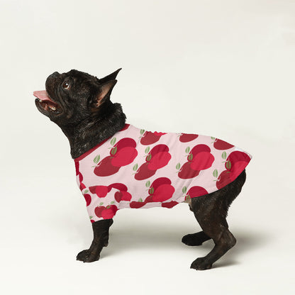 Dude - Wool Sweater for Frenchies