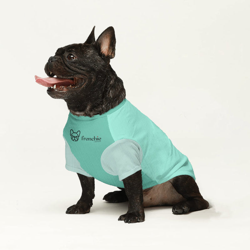 Asher - Wool Sweater for Frenchies