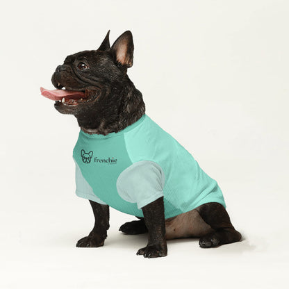 Asher - Wool Sweater for Frenchies