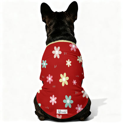 Como - Wool Sweater for Frenchies