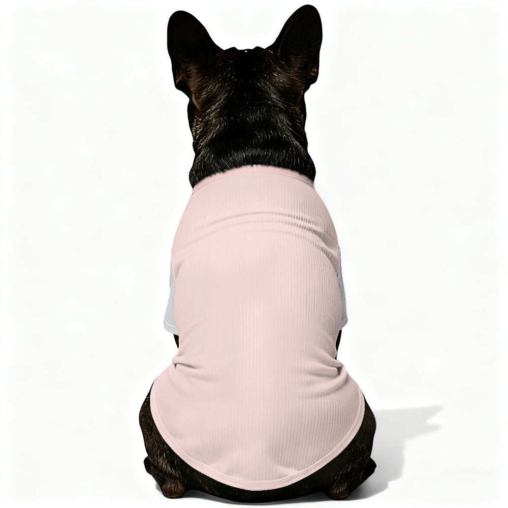 Rollo - Wool Sweater for Frenchies