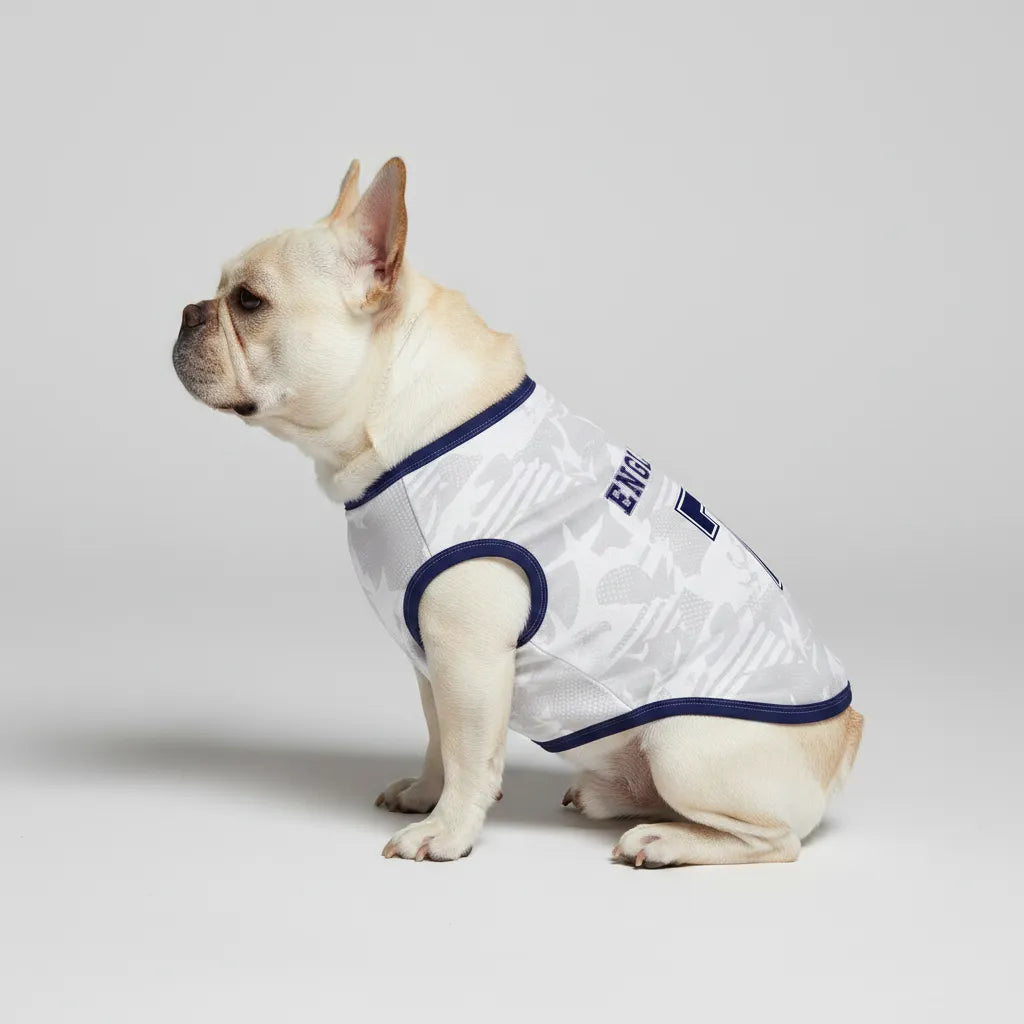 Personalized england home - jerseys for Frenchies