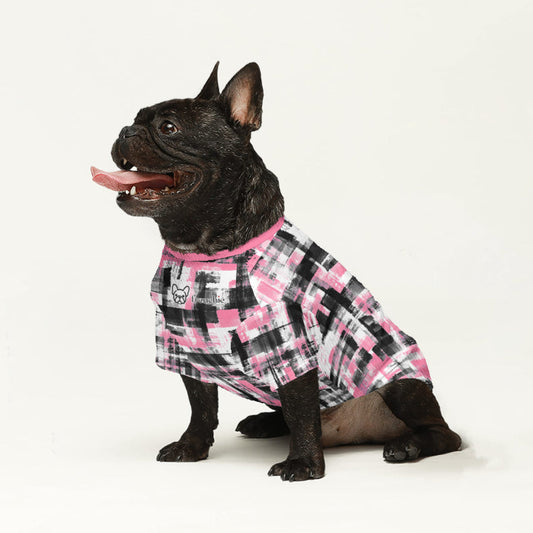 Declan - Wool Sweater for Frenchies