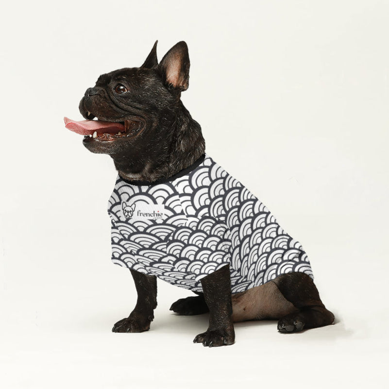 Harlan - Wool Sweater for Frenchies