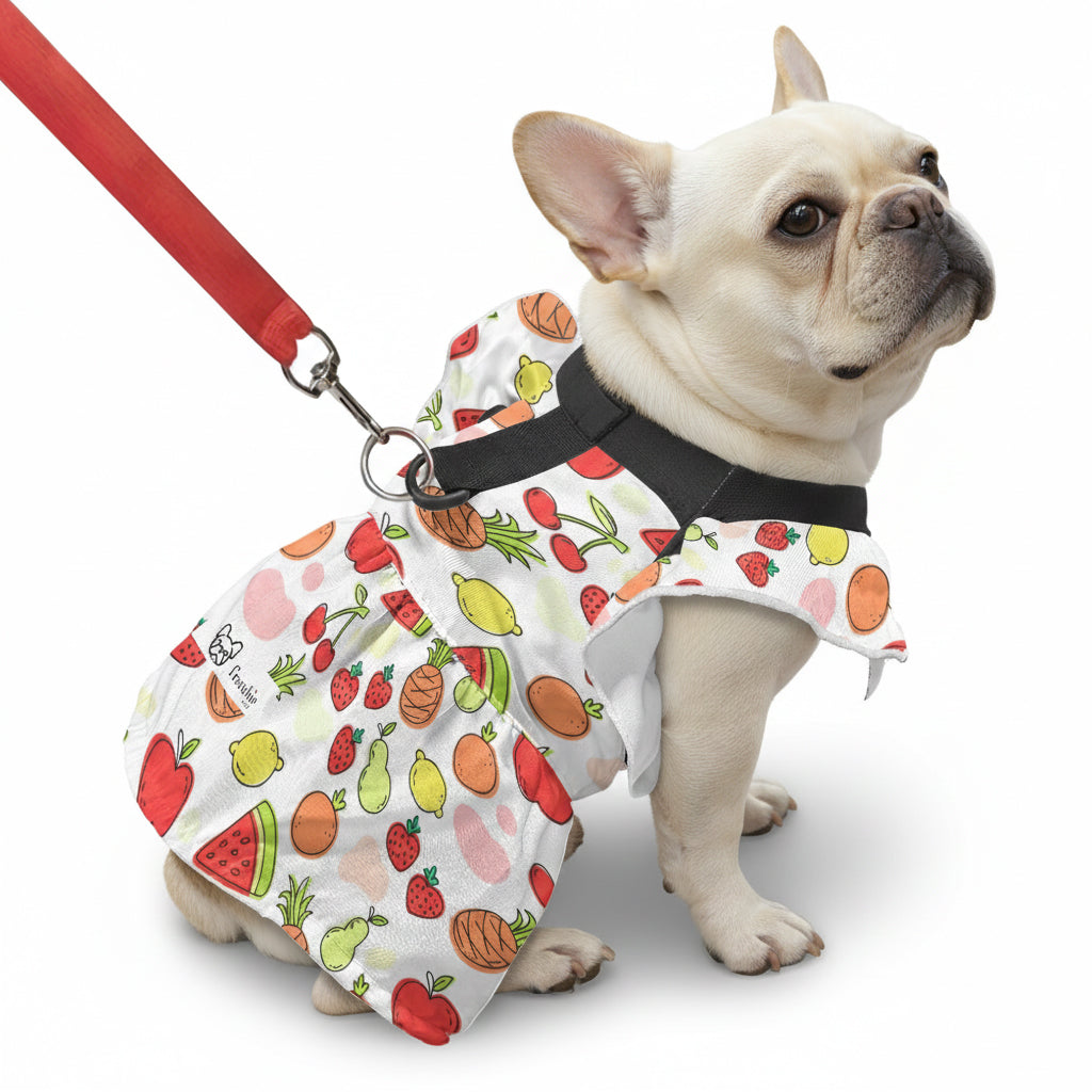 Nasy - French Bulldog Dresses for Females