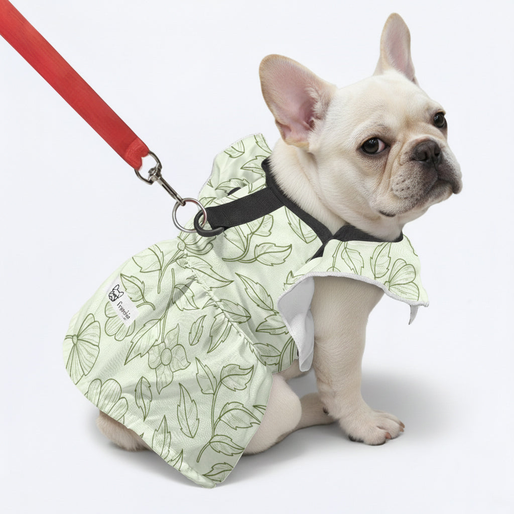 Lumi - French Bulldog Dresses for Females